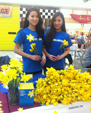 Miss Chinese Vancouver at the Daffodil Sale