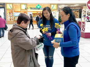 Miss Chinese Vancouver Volunteered at the Daffodil Sale
