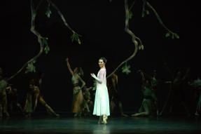 Liaoning Ballet Ensemble present the ballet dance in Toronto. Don't miss it!